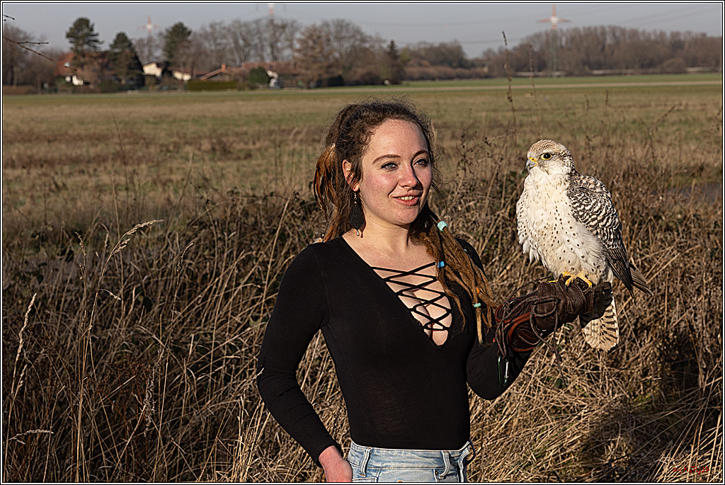 Cheyenne-Halbblut Hunting Wolf in der Falknerei Pierre Schmidt; Gymnich, 09.02.2023